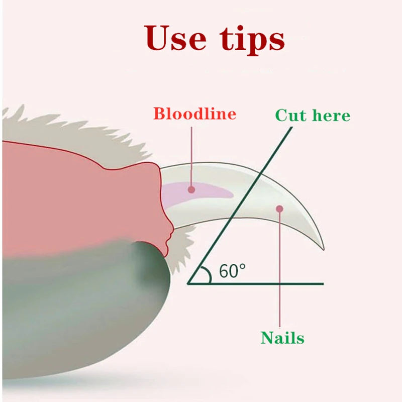 Pet Nail Clipper LED Light Grooming Scissors