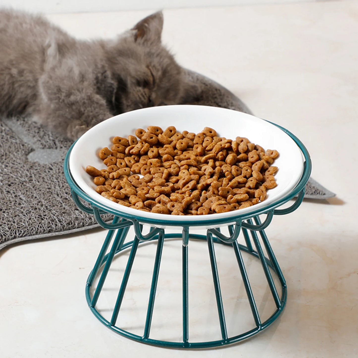 Cat Food Bowl Ceramic Wide Non Slip Shallow Dish