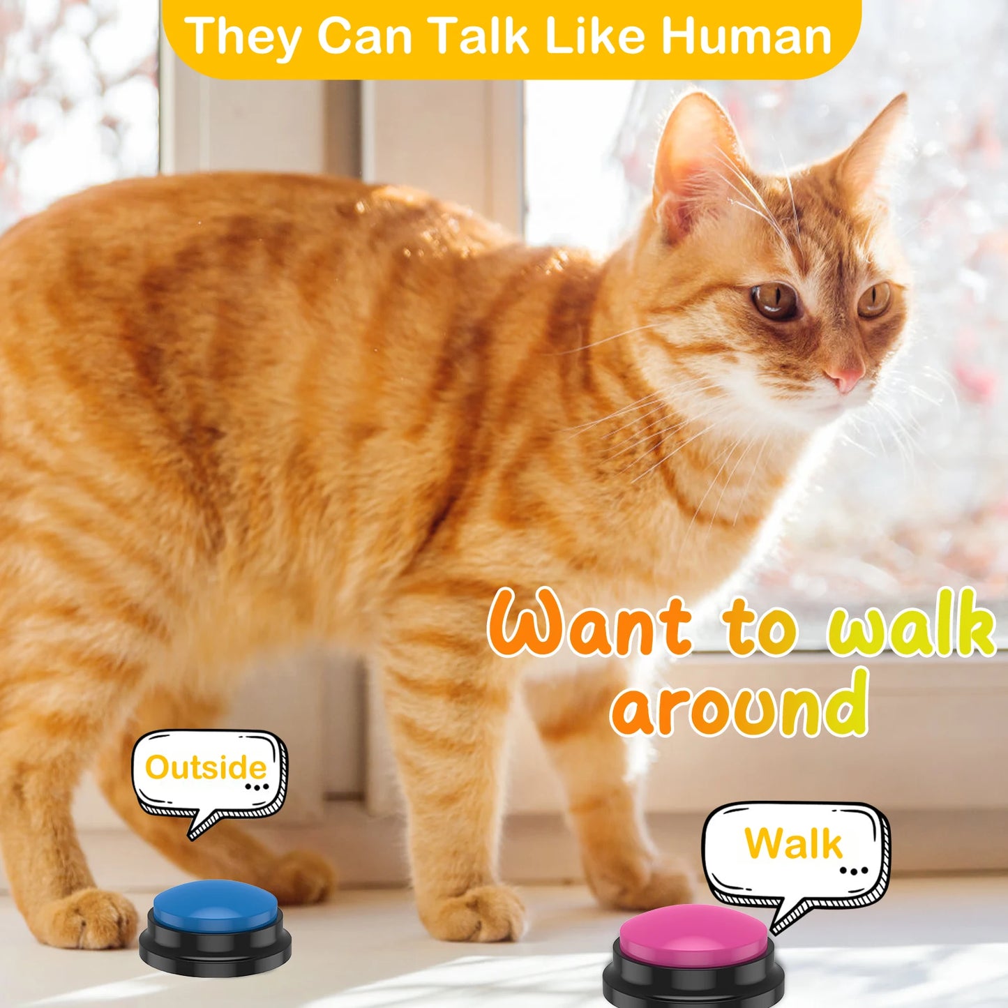 Dog Training Buttons Recordable Talking Pet Interactive Light