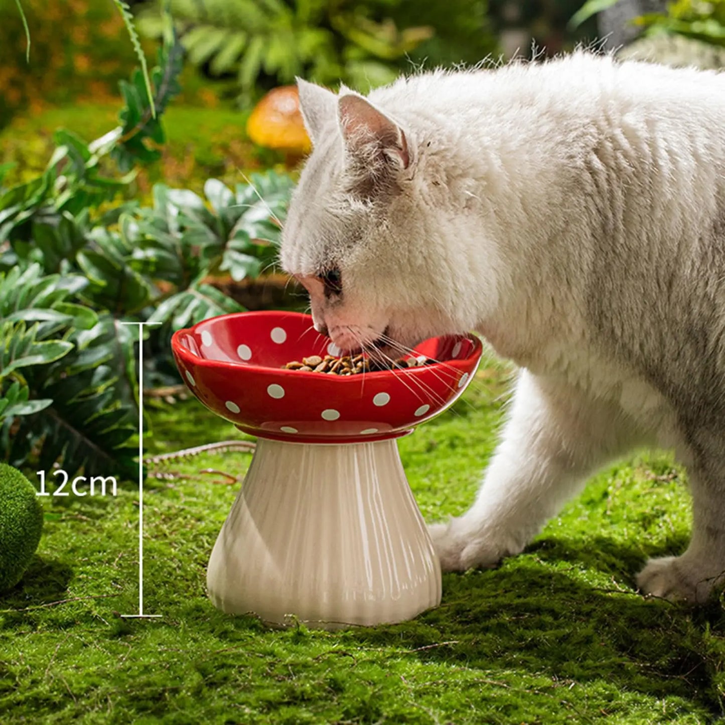 Cat Bowl Ceramic Elevated Raised 6 Inch