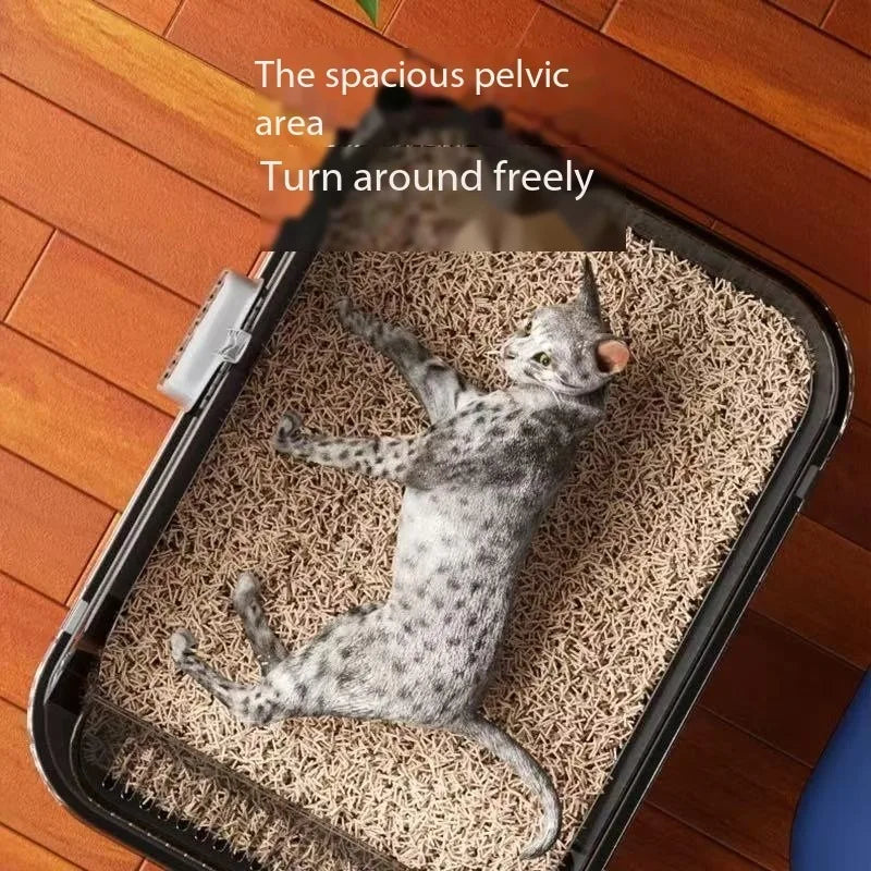 Cat Litter Box with Splashproof Removable Tray