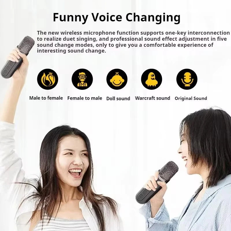 Portable Dual Microphone Karaoke Machine