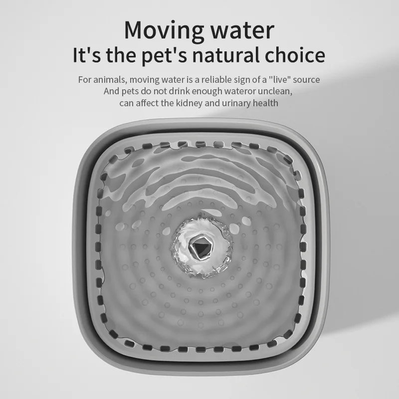 Cat Water Fountain Automatic Filter Dispenser