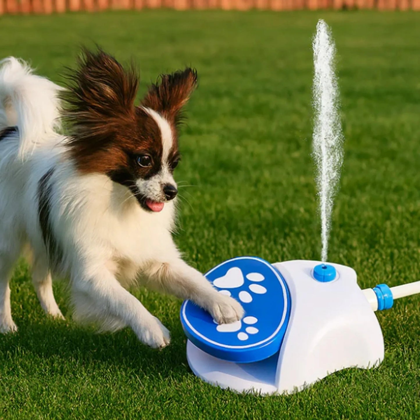 Dog Water Dispenser Foot Pedal Outdoor Drinking Fountain