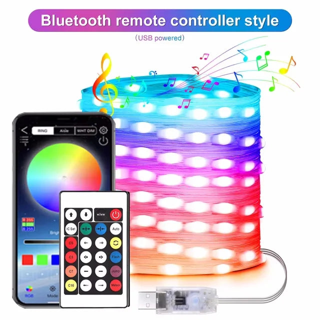 Christmas String Lights with LED Bluetooth and Remote Control