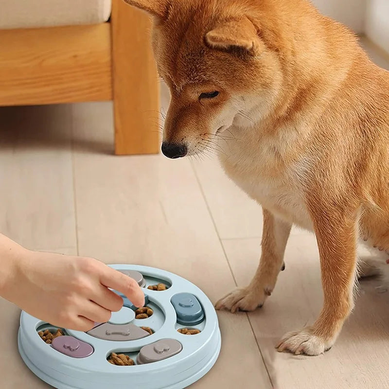 Dog Bowl Slow Feeder Interactive Training Toy