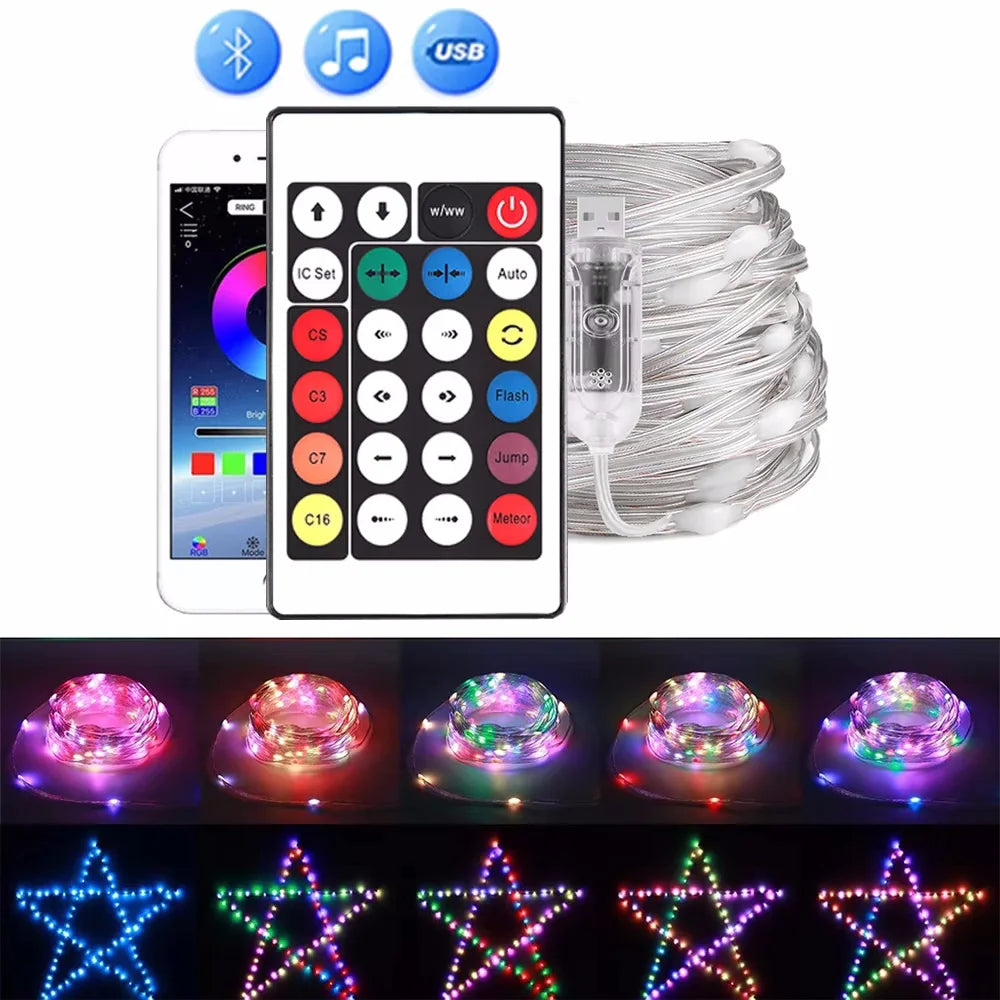 Christmas String Lights with LED Bluetooth and Remote Control