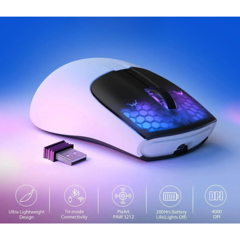 Lightweight Wireless Bluetooth RGB Gaming Mouse