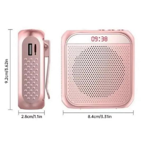 Mini Portable Voice Amplifier