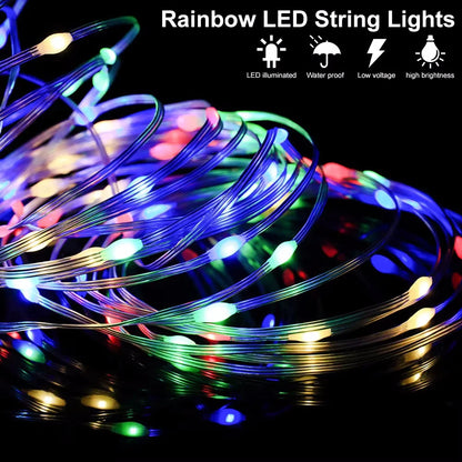 Christmas String Lights with LED Bluetooth and Remote Control