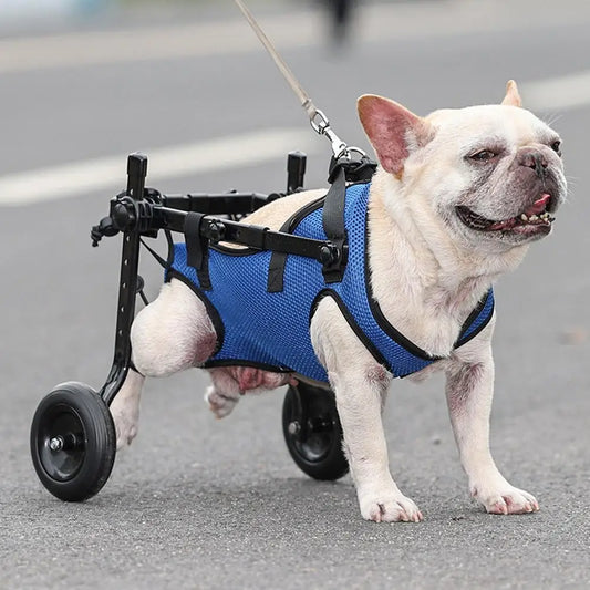 Dog Wheelchair Adjustable Small Pet Mobility AiD