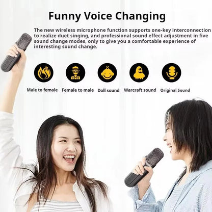 Portable Dual Microphone Karaoke Machine