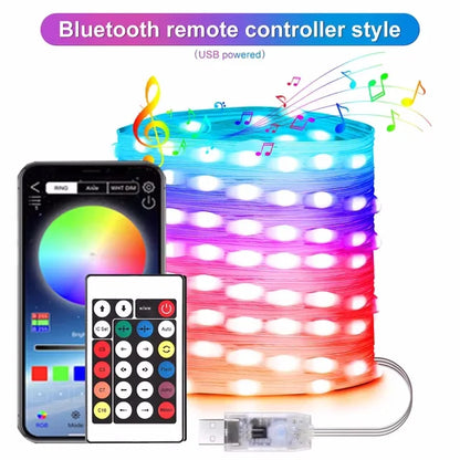 Christmas String Lights with LED Bluetooth and Remote Control
