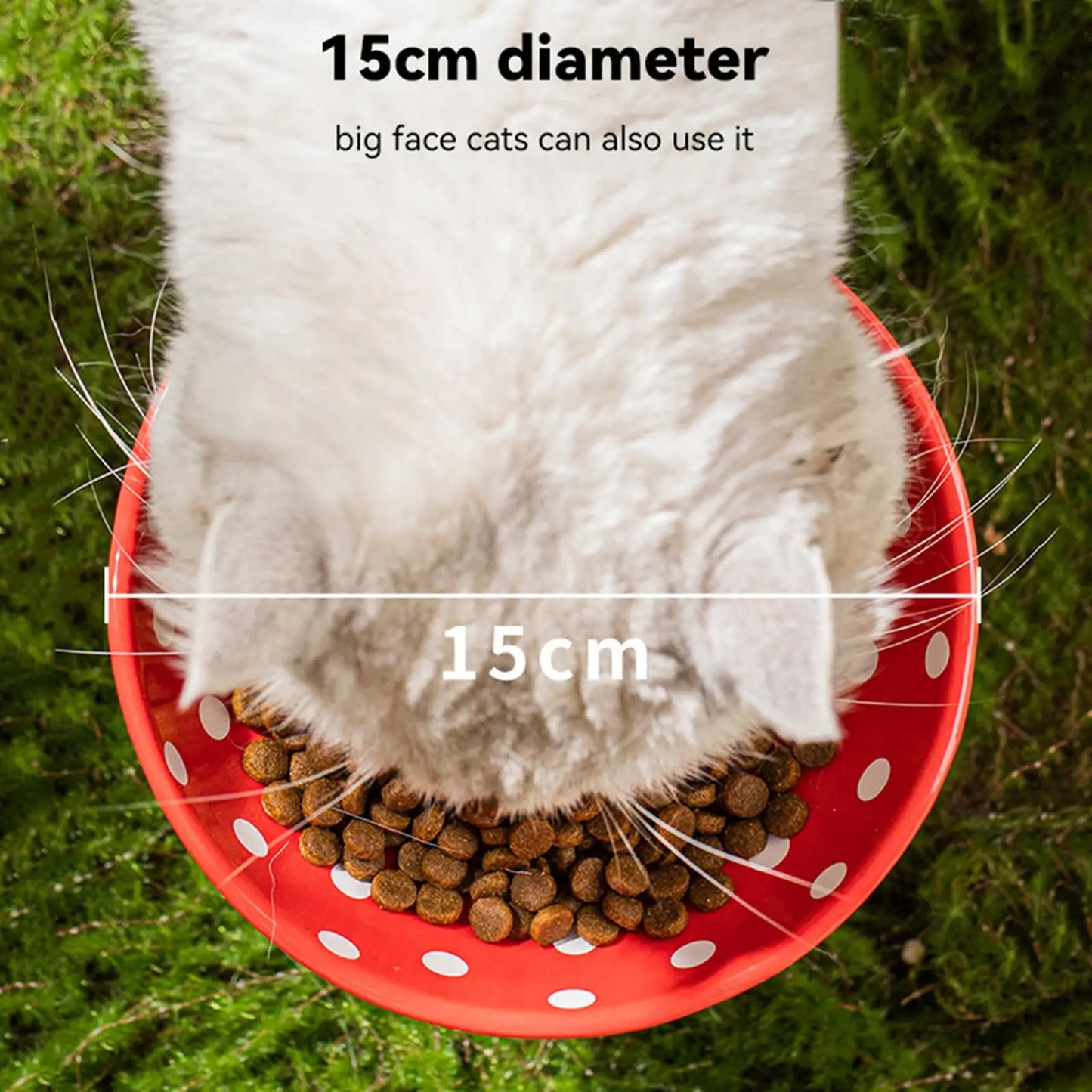 Cat Bowl Ceramic Elevated Raised 6 Inch