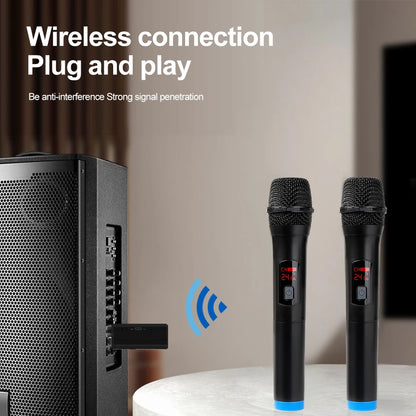 Wireless Microphone Dual Channel Handheld VHF System