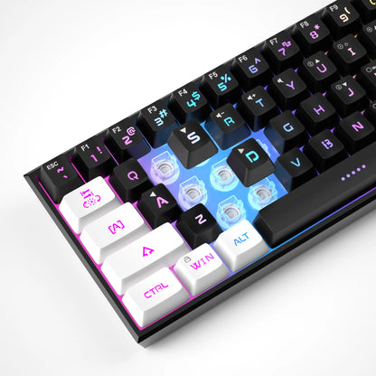 Wired Compact RGB Keyboard