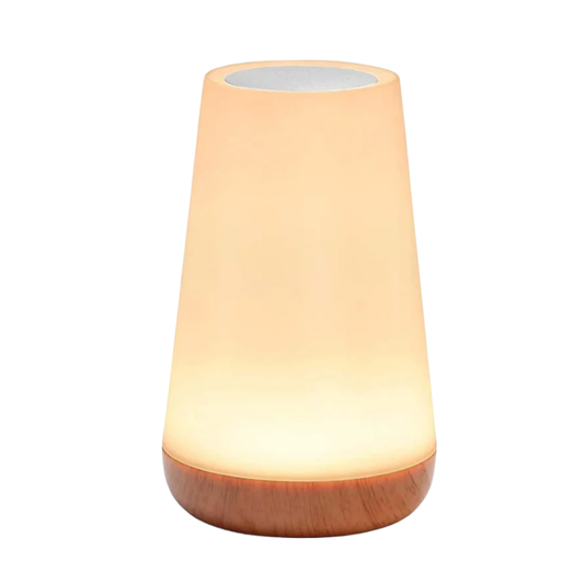 Touch Lamp USB Dimmable RGB Portable Night Light