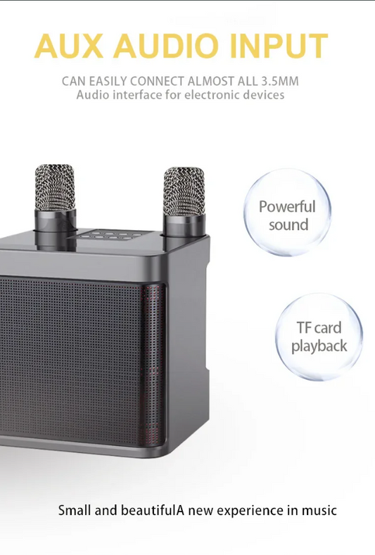 Portable Dual Microphone Karaoke Machine
