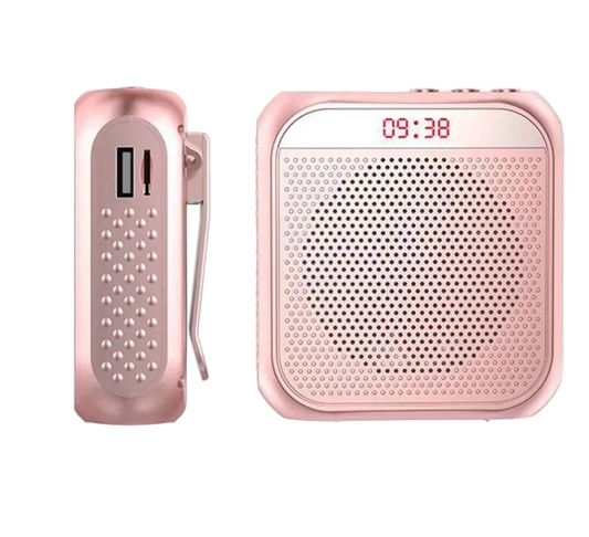 Mini Portable Voice Amplifier